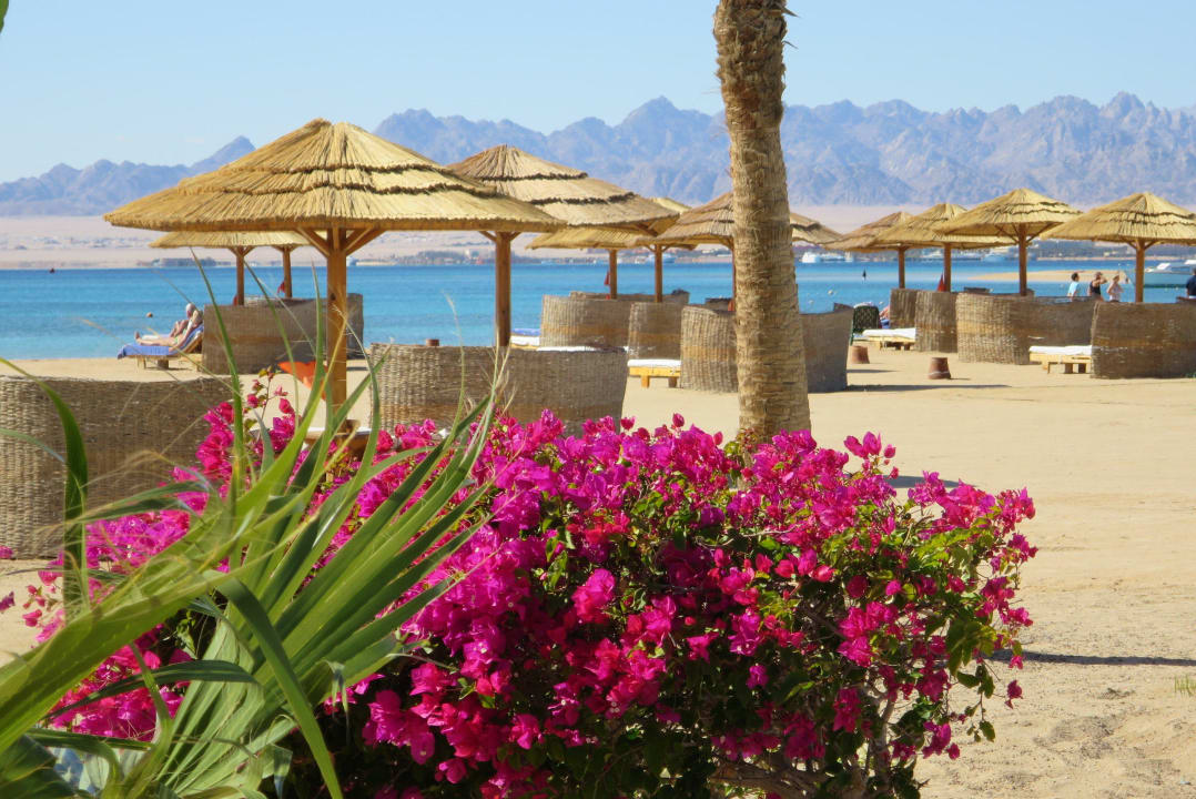 Blick auf Liegebereich ROBINSON SOMA BAY