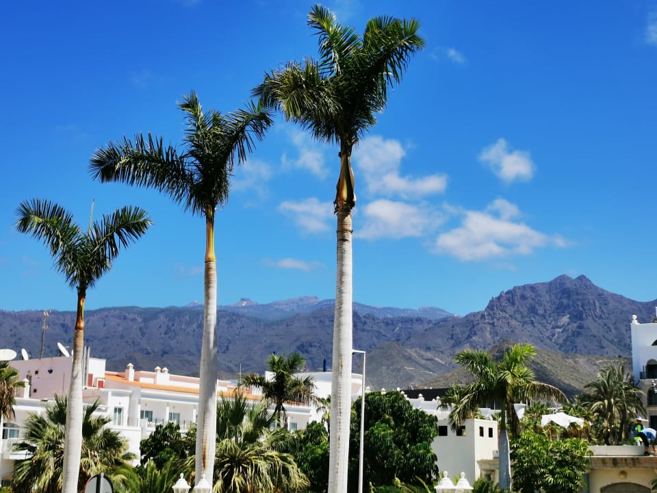 Ausblick Guayarmina Princess