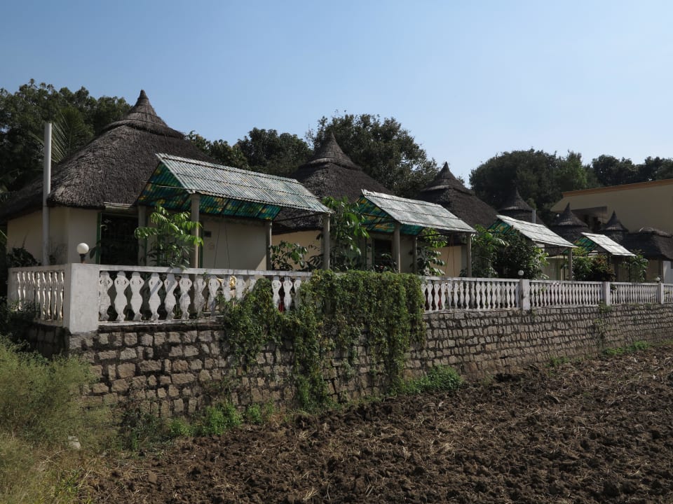Cottages an den Reisfeldern Mowgli Guest House