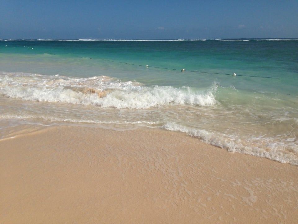 9 Majestic Colonial Punta Cana