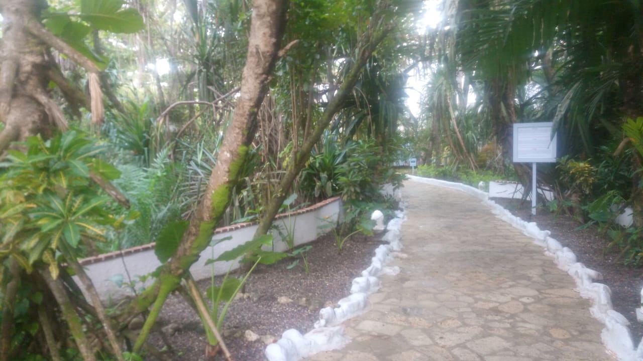 Naturbelassender Park Sunscape Puerto Plata