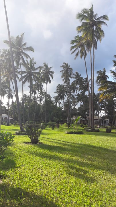 Garten TUI Blue Bahari Zanzibar