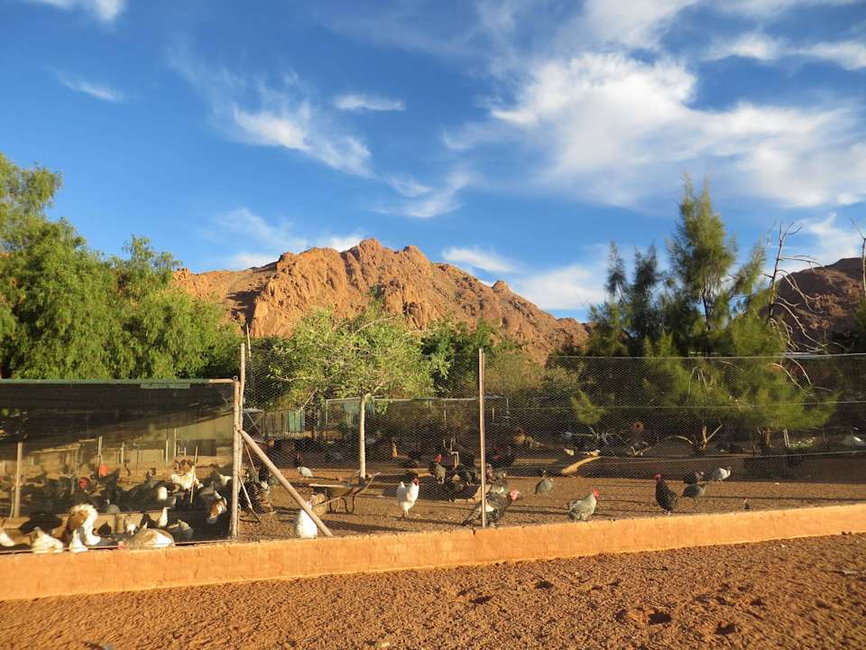 Auf der Farm Koiimasis Ranch