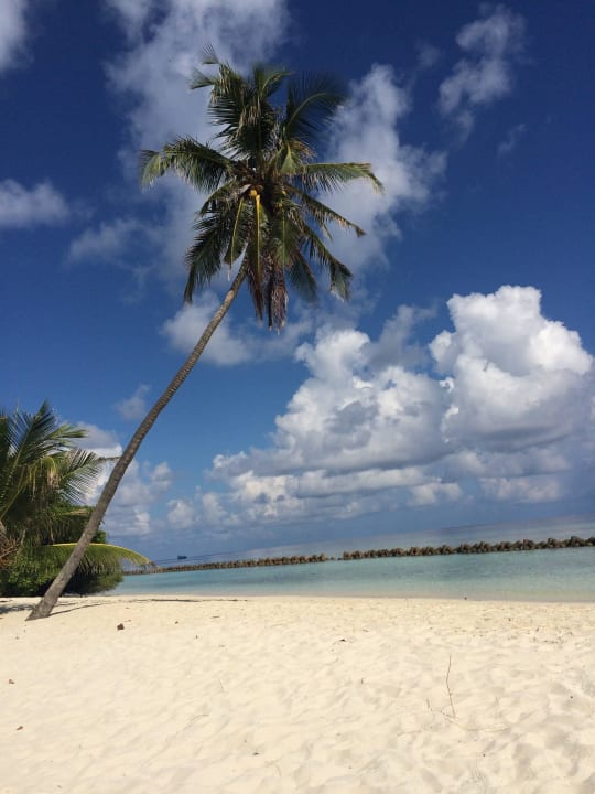 Strand vor der Villa Kuredu Island Resort & Spa