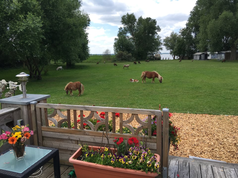 Gartenanlage Ferienresort Möwenort