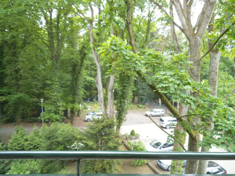 Blick vom Zimmer ins Grüne Waldhotel Tannenhäuschen