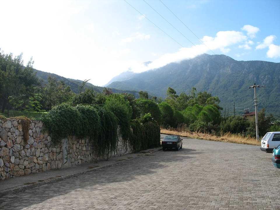 Przed hotelem Daisy Garden Resort Hotel