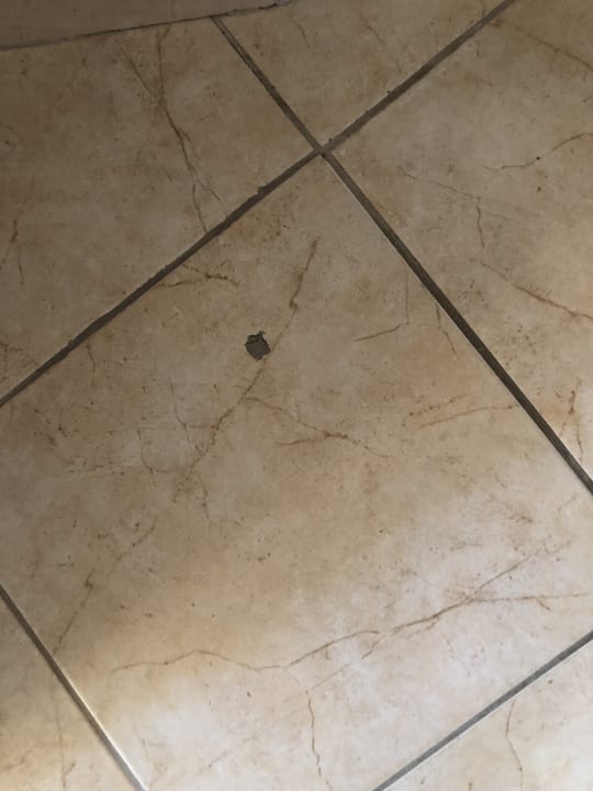 Zimmer Palmeras Beach Hotel