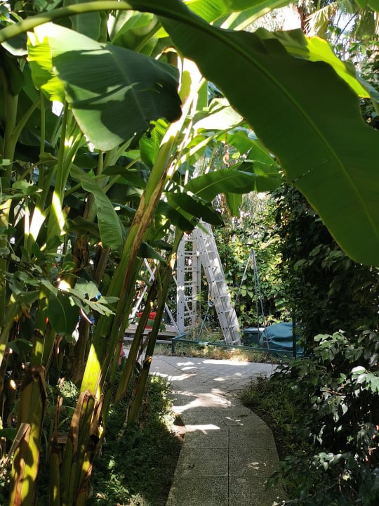 Gartenanlage Hotel Yetkin