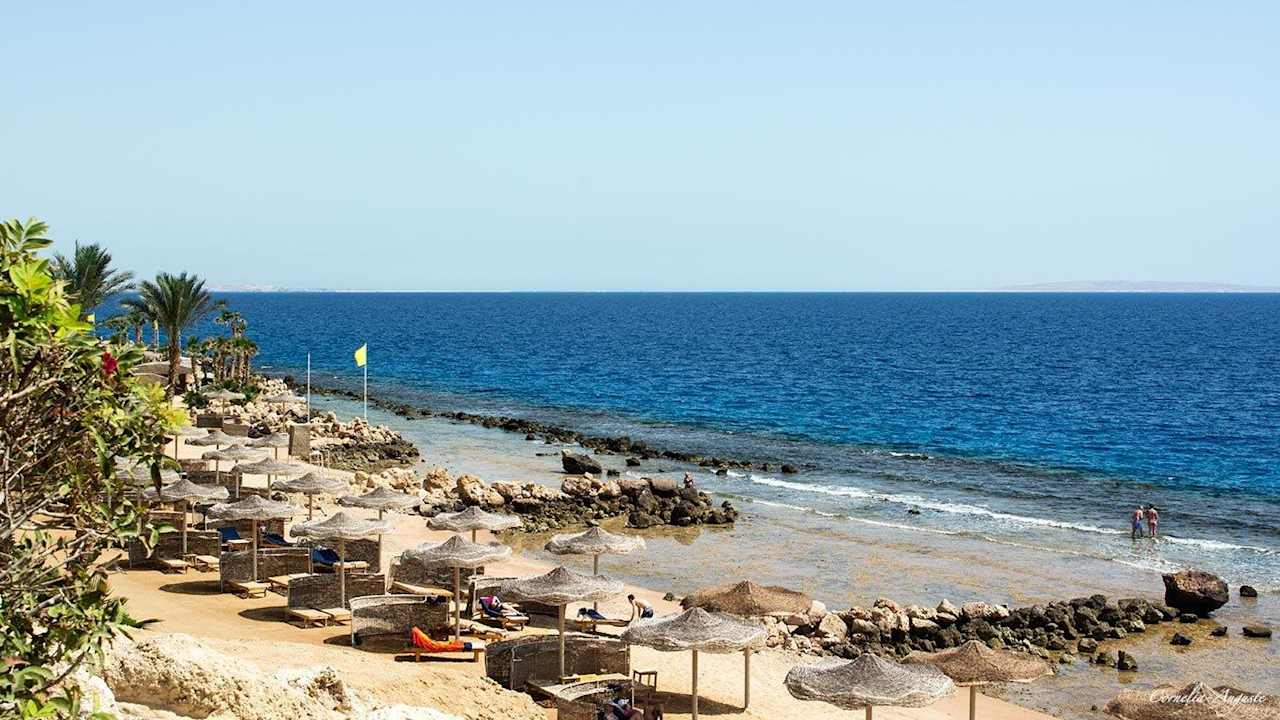 Ein Teilabschnitt Pickalbatros Citadel Resort