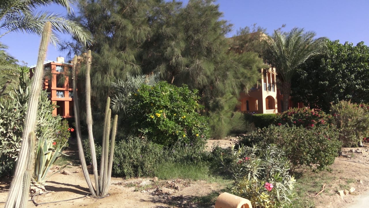 Sonstiges Sheraton Miramar Resort El Gouna