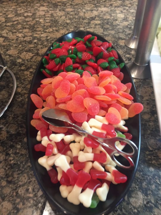 Gastro Relaxia Olivina