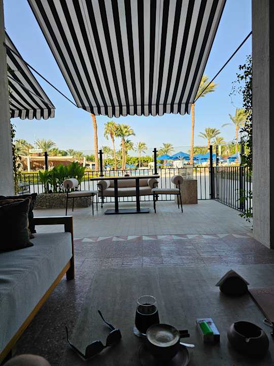 Sonstiges Desert Rose