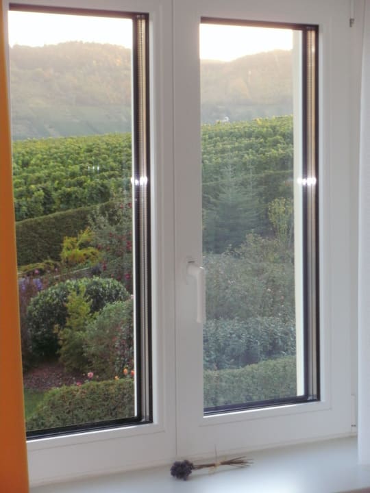 Zimmer Guesthouse Weinhotelchen