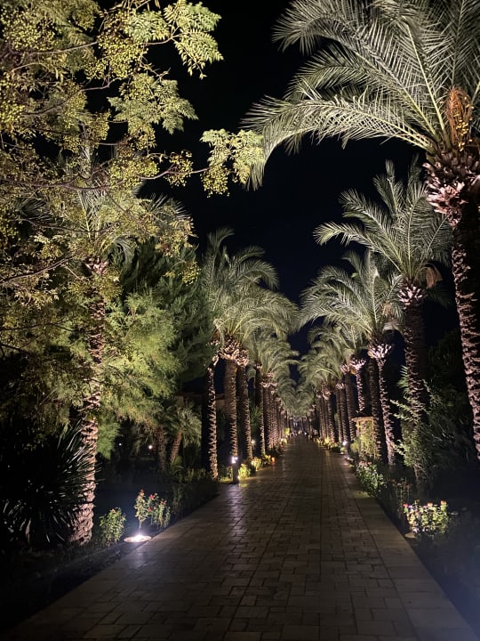 Gartenanlage TUI BLUE Palm Garden