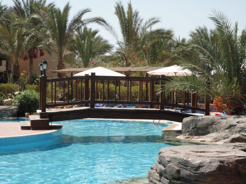 Tolle Poolanlage Steigenberger Coraya Beach - Adults only