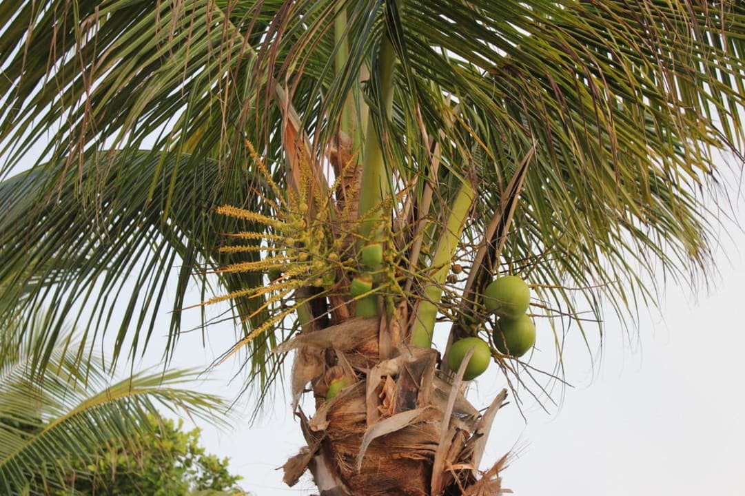 Pool Iberostar Selection Paraiso Lindo