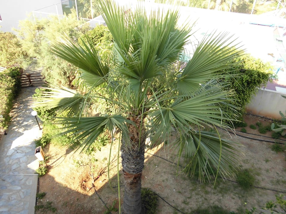 Blick us dem Zimmer Hotel Harry's