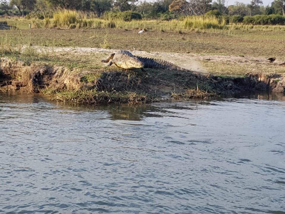 Ausblick Hotel Ndhovu Safari Lodge