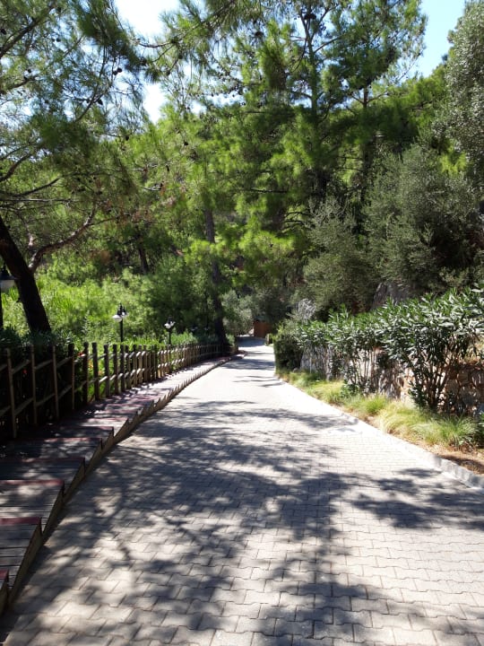 Außenansicht TUI BLUE Seno - Adults Only