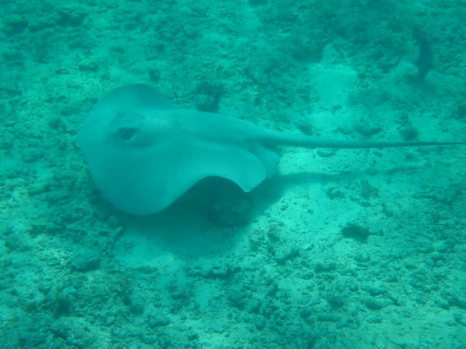 Strand Akumal Bay Beach & Wellness Resort