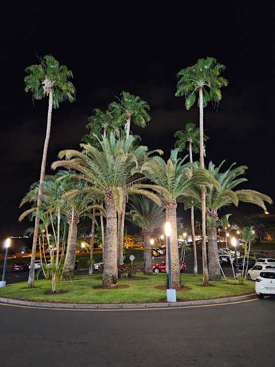 Gartenanlage Hotel Riu Arecas - Adults only