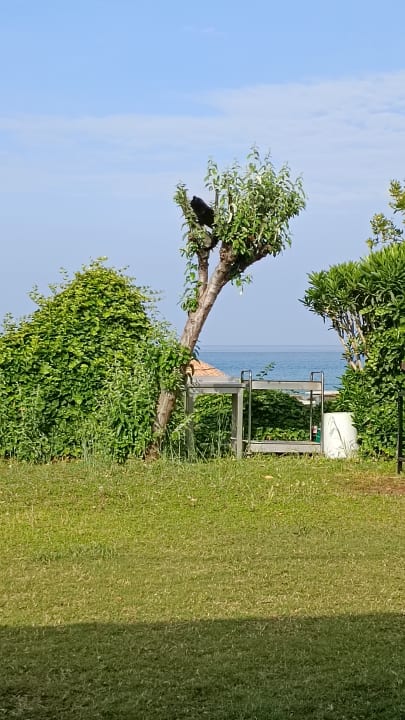 Gartenanlage Dogan Paradise Beach