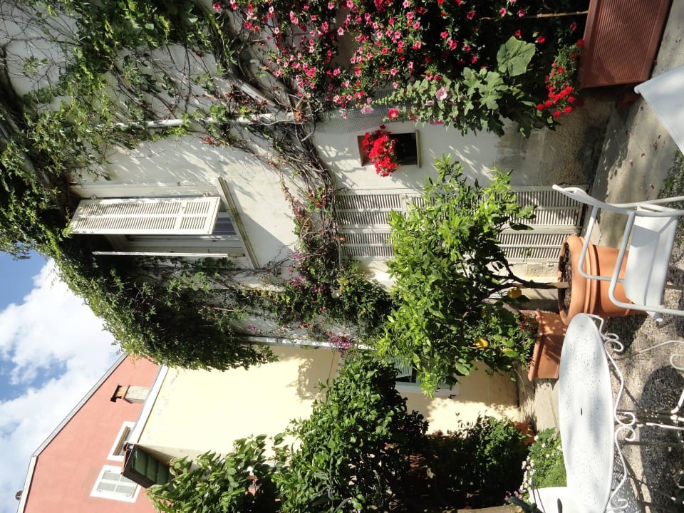 Garten, hier wird im Sommer das Frühstück serviert Edward's Hotel