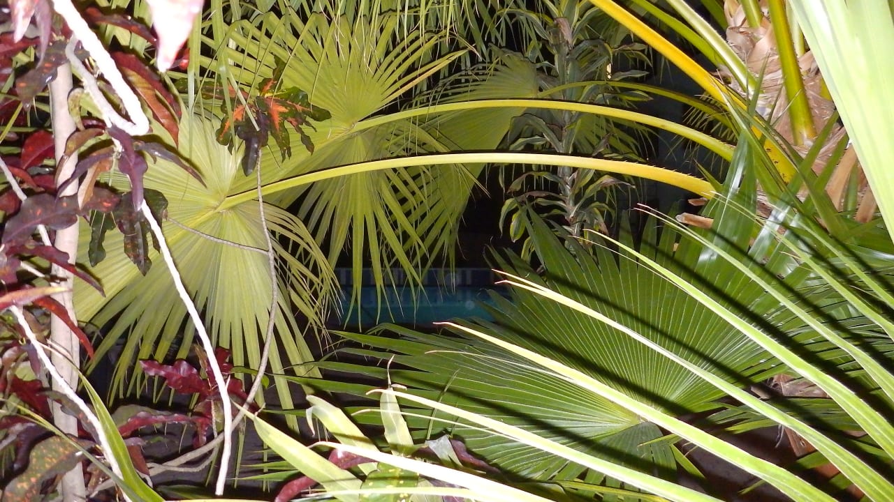 Außenansicht Tropics Hotel Miami Beach