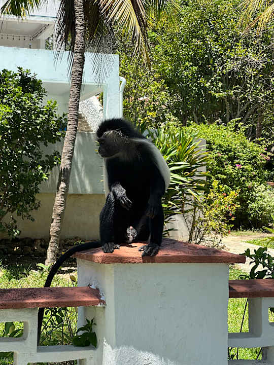 Sonstiges Hotel Diani Sea Lodge