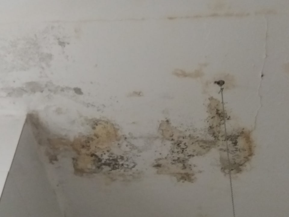 Zimmer Hotel Fragata