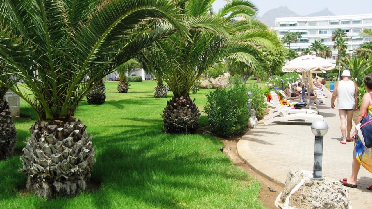 Gartenanlage Hotel Riu Palace Tenerife
