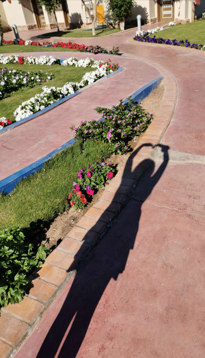Gartenanlage Pickalbatros Jungle Aqua Park Resort - Neverland Hurghada
