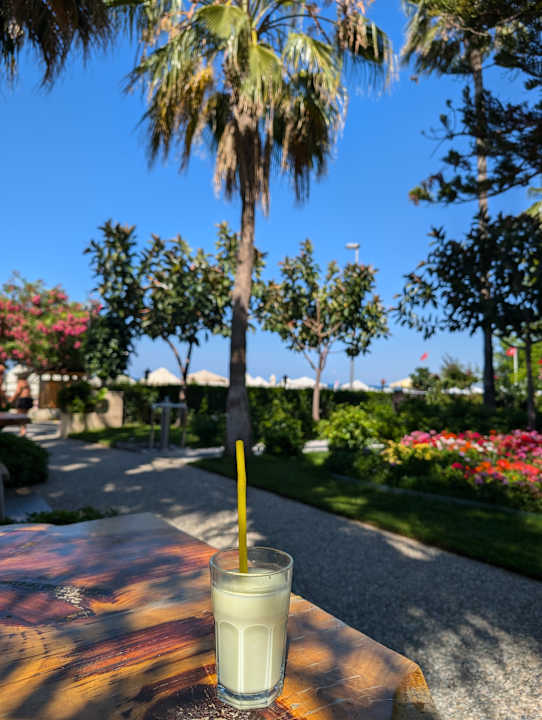 Gartenanlage Nerton Hotel - Erwachsenenhotel ab 16 Jahren