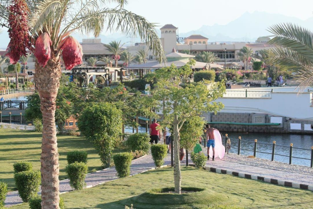 Blick vom Balkon Pickalbatros Dana Beach Resort - Hurghada