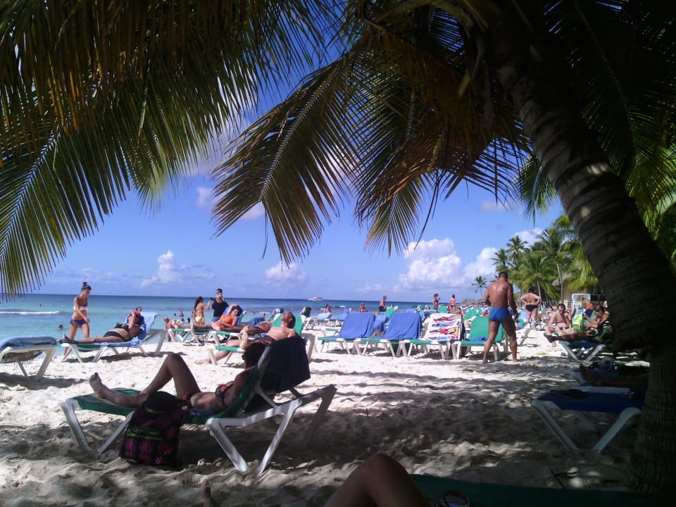 Unter Palmen Hotel Viva Dominicus Palace by Wyndham-All Inclusive Resort