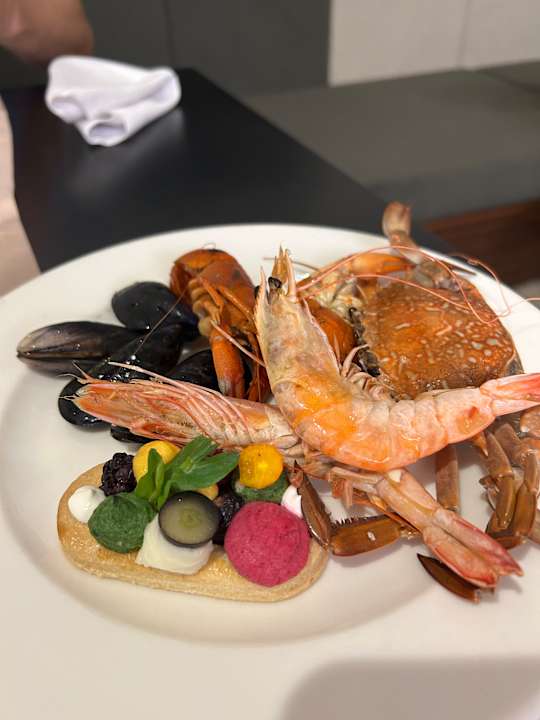 Gastro Adalya Elite Lara