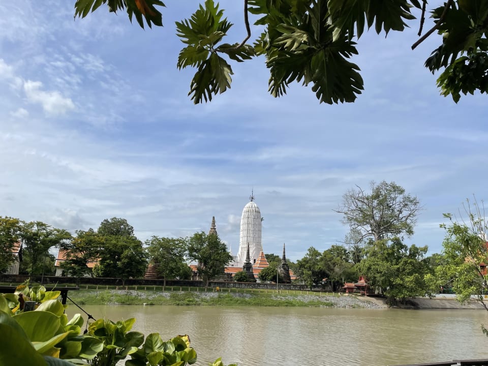 Ausblick Hotel iuDia on the River