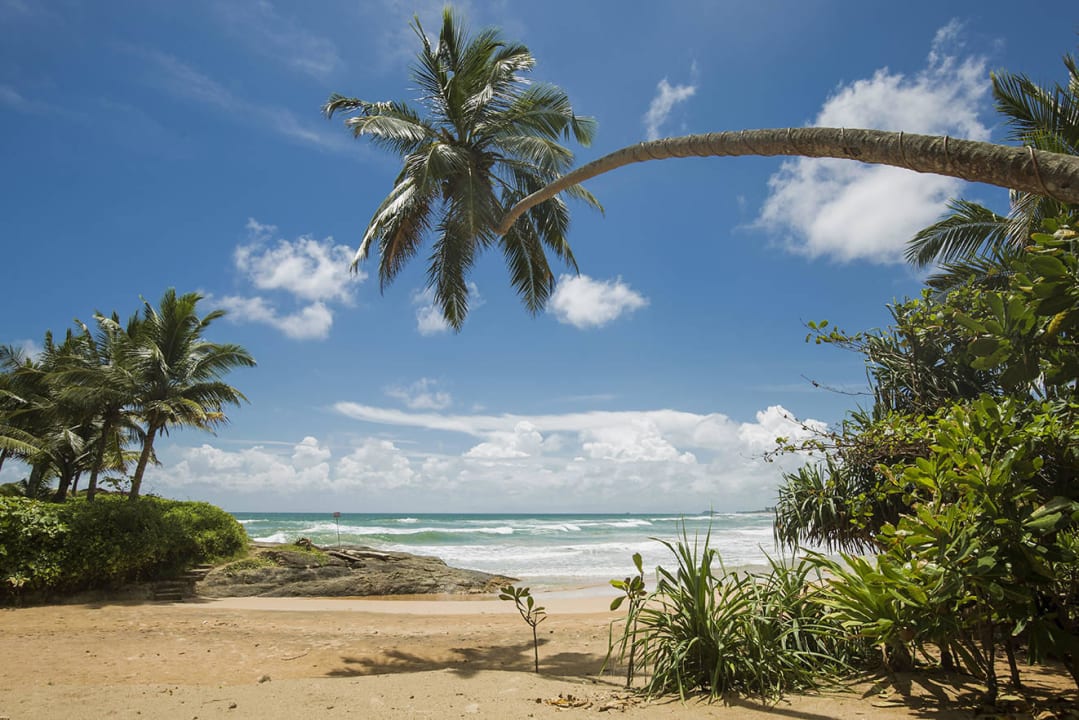 Paradise on Earth Rockside Beach Resort