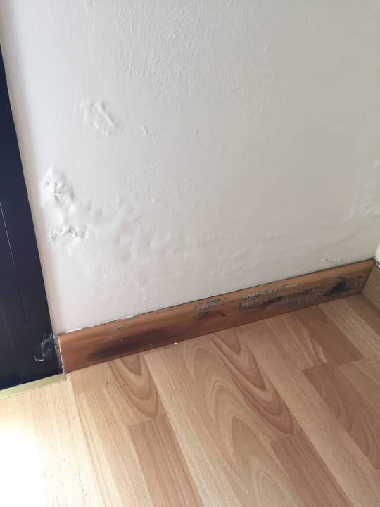 Schimmel Hotel Falcone