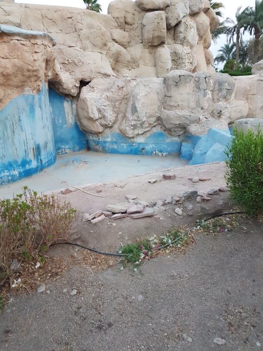 Pool Pickalbatros Golf Beach Resort