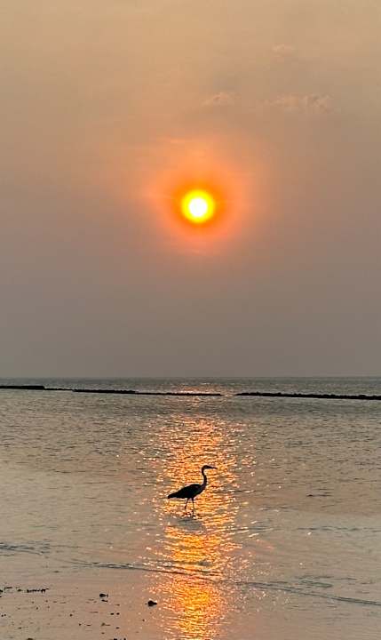 Strand Kuredu Island Resort & Spa