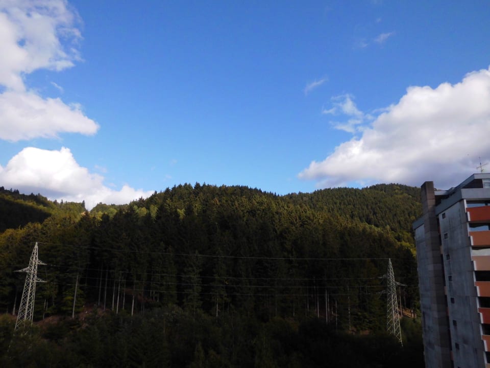 Zimmerausblick Panoramic - Ihr Apartmenthotel im Harz