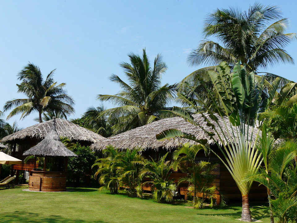 Gleich neben dem Pool Coco Beach Resort