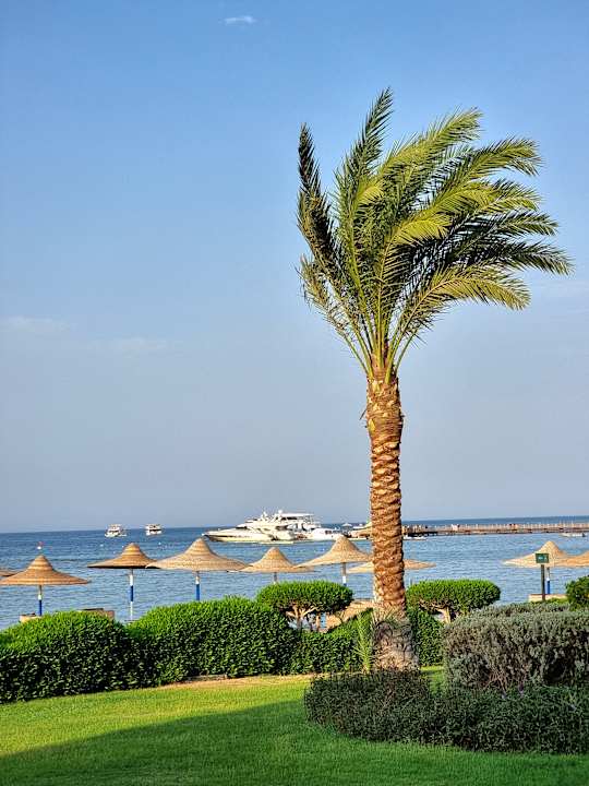 Ausblick Cleopatra Luxury Resort Makadi Bay