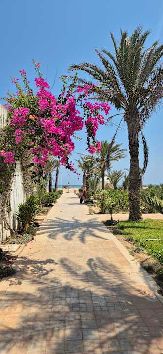 Außenansicht Iliade Aqua Park Djerba