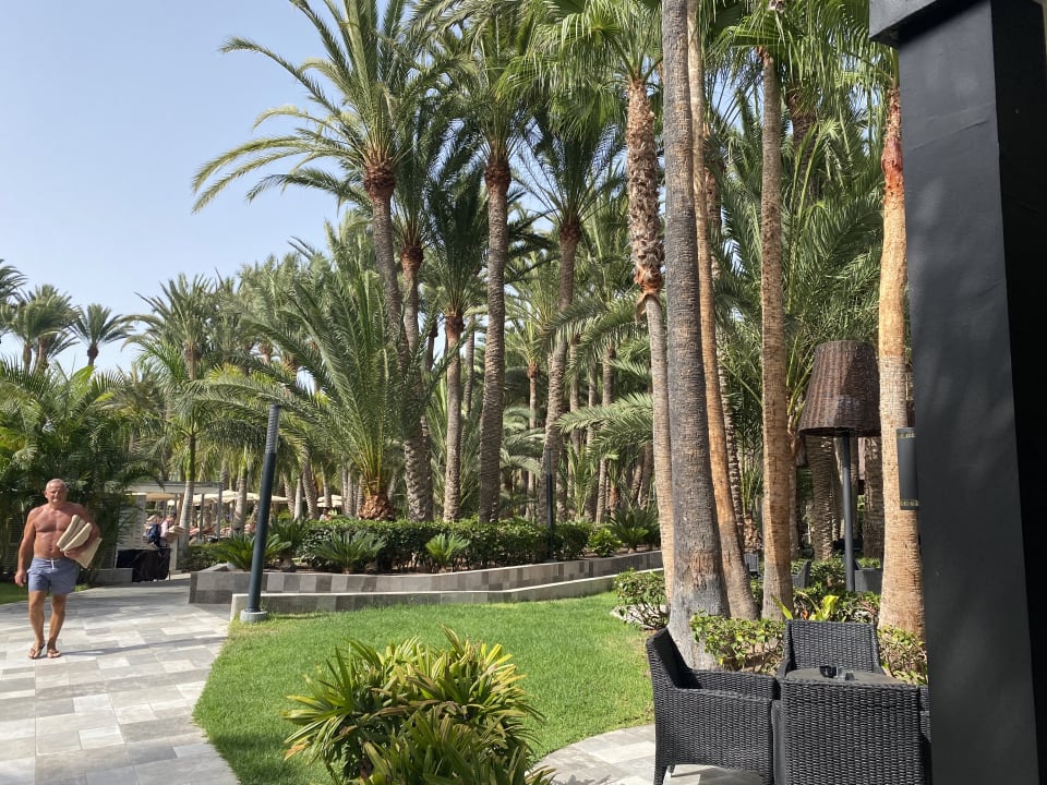 Gartenanlage Hotel Riu Palace Oasis