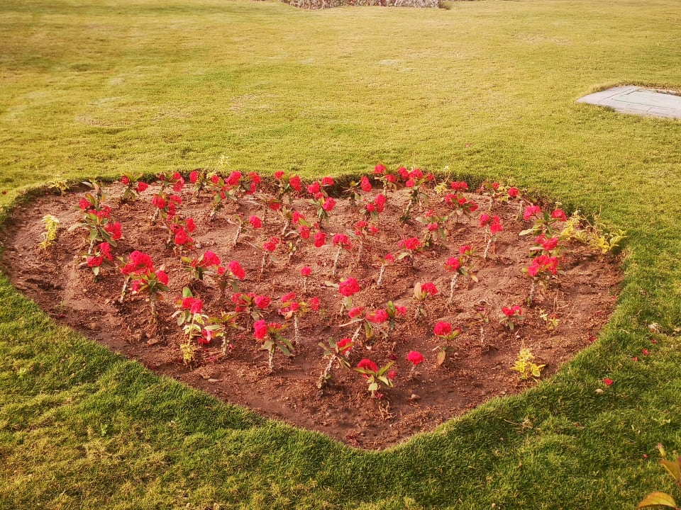 Gartenanlage Pickalbatros Dana Beach Resort - Hurghada