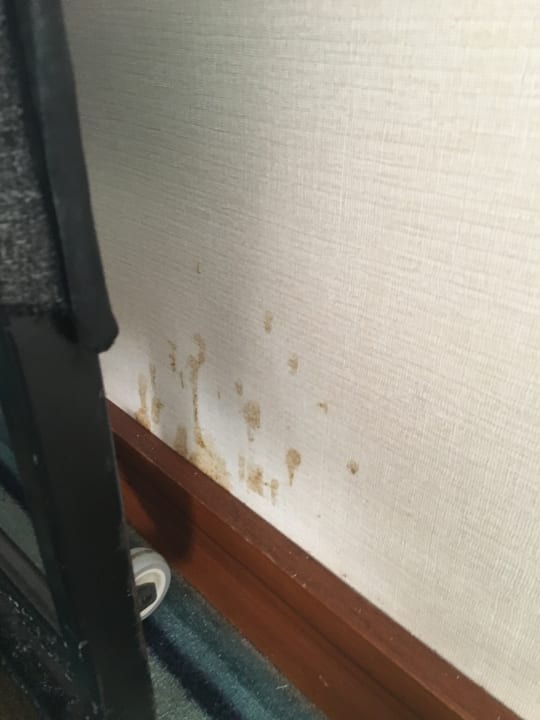 Zimmer Hotel Pine Bay Holiday Resort