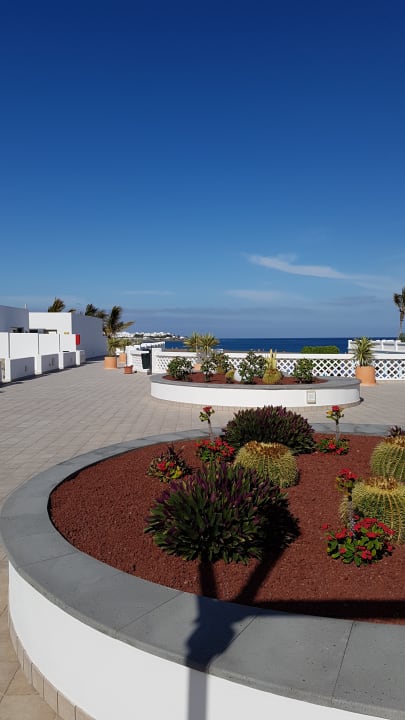 Gartenanlage Hotel Las Costas